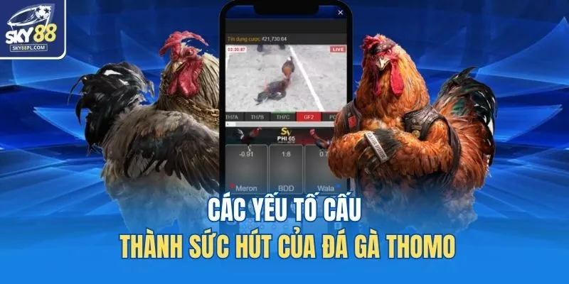 Các yếu tố cấu thành sức hút của đá gà Thomo