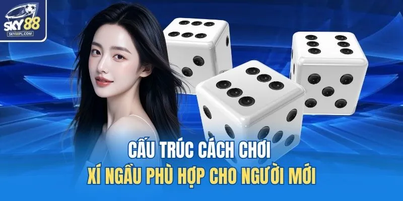 Cách Chơi Xí Ngầu SKY88 - Luật Chuẩn, Tips Nào Cũng Hiệu Quả 3 Cấu trúc cách chơi xí ngầu phù hợp cho người mới