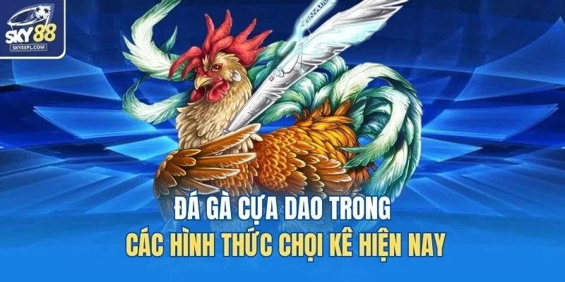 Đá Gà Cựa Dao SKY88 - Trải Nghiệm Đỉnh Cao Cho Dân Đam Mê 2 Đá gà cựa dao trong các hình thức chọi kê hiện nay