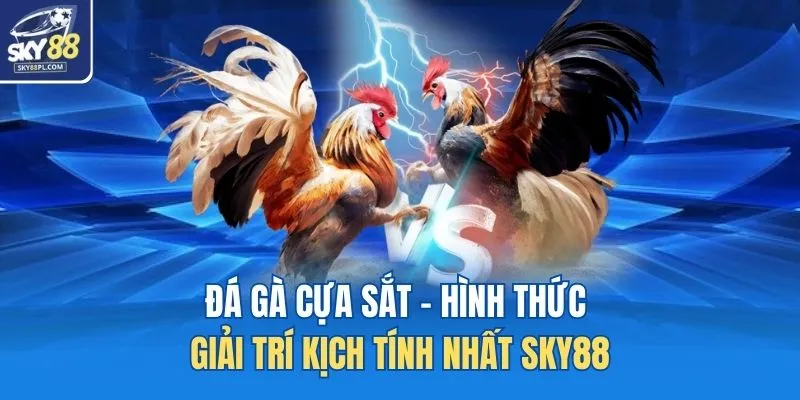 Đá Gà Cựa Sắt - Hình Thức Giải Trí Kịch Tính Nhất SKY88 1 Đá gà cựa sắt
