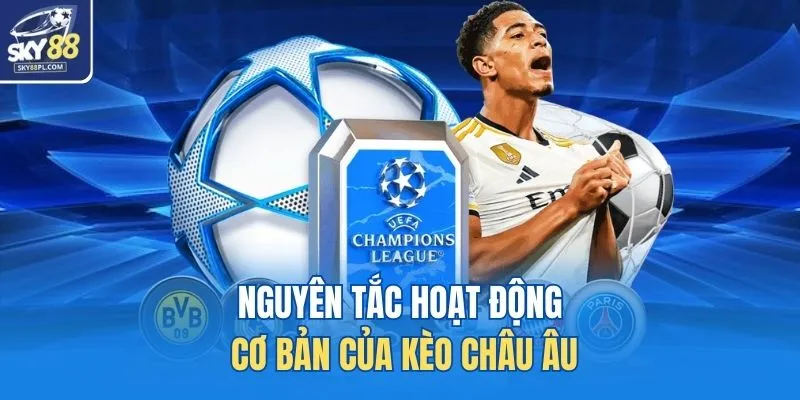 Nguyên tắc hoạt động cơ bản của kèo châu Âu