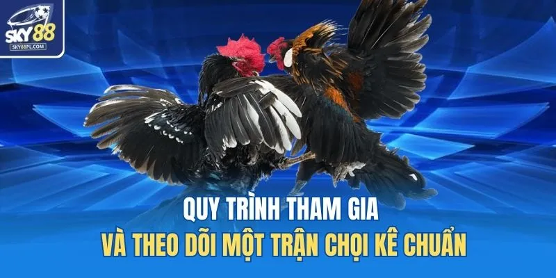Đá Gà Cựa Dao SKY88 - Trải Nghiệm Đỉnh Cao Cho Dân Đam Mê 4 Quy trình tham gia và theo dõi một trận chọi kê chuẩn