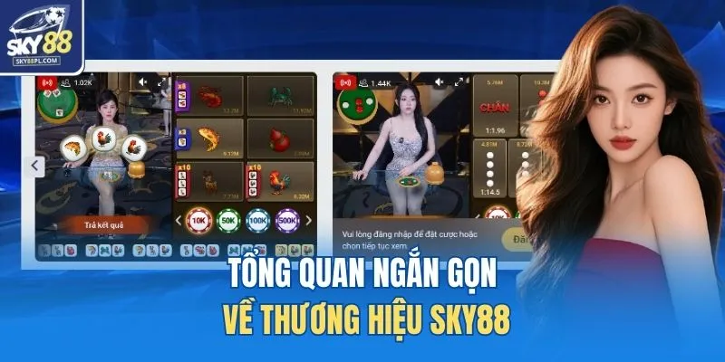 Về Chúng Tôi 1 Tổng quan ngắn gọn về thương hiệu SKY88